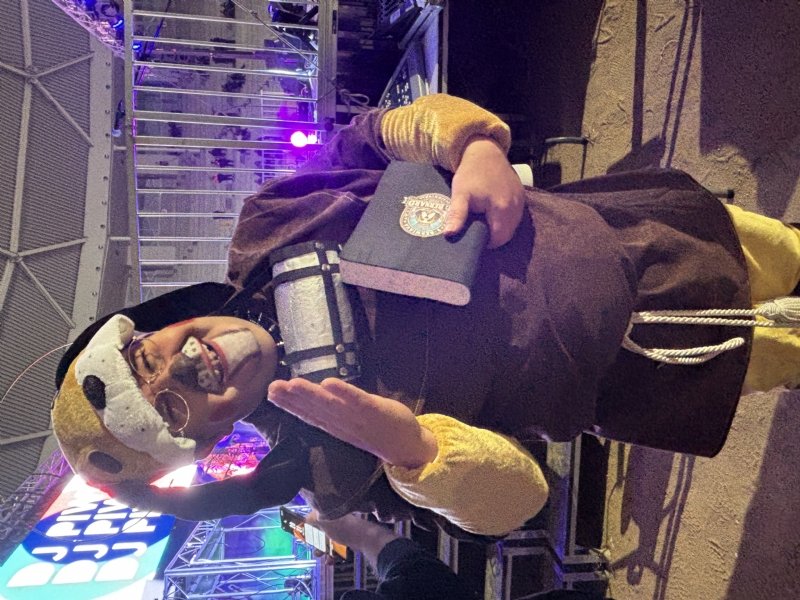 Slider Carnaval 2026 en Navalcarnero